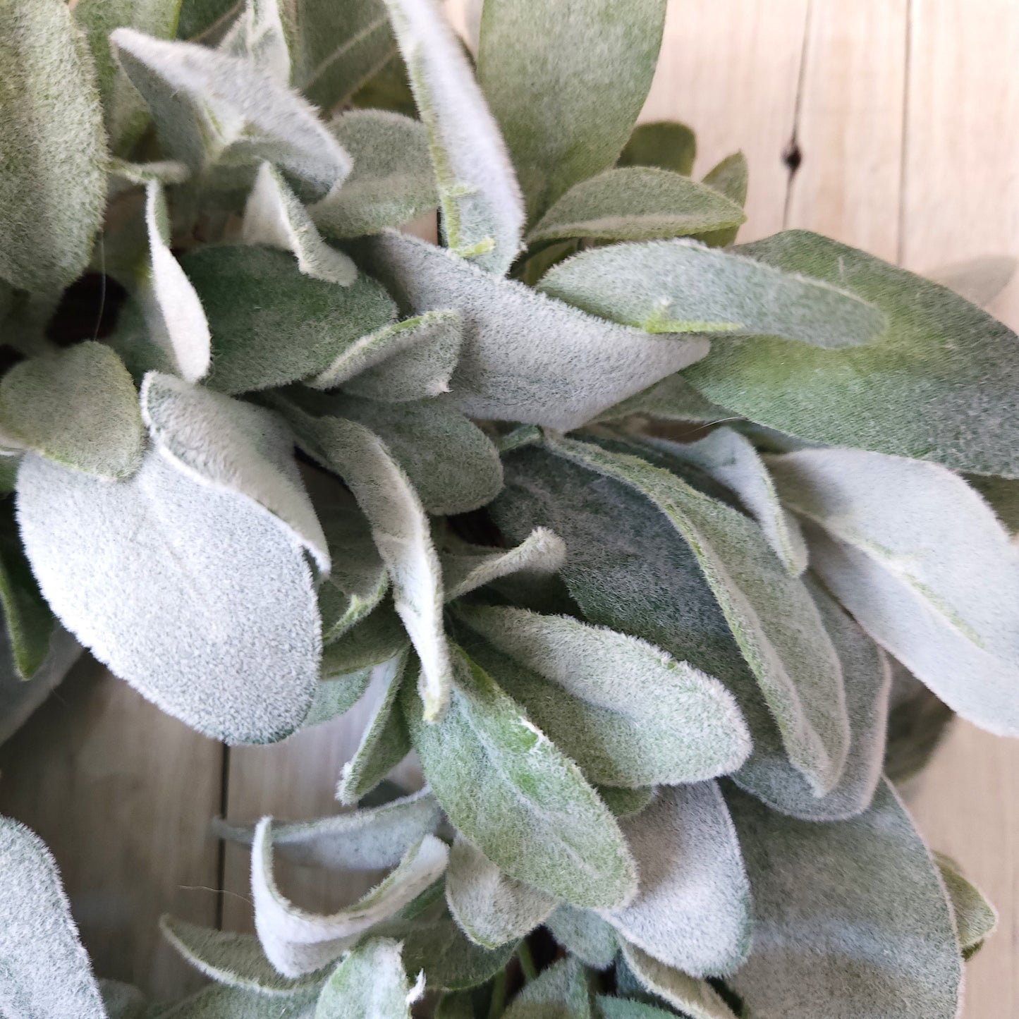 Mini Natural Lambs Ear Wreath