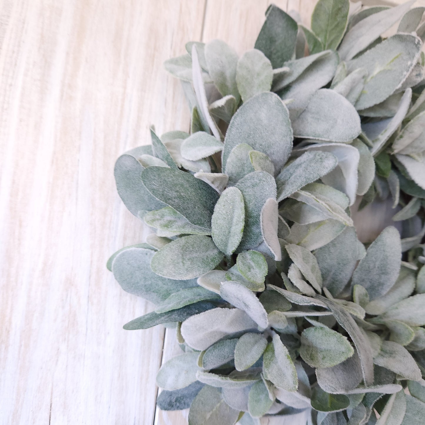 Mini Natural Lambs Ear Wreath